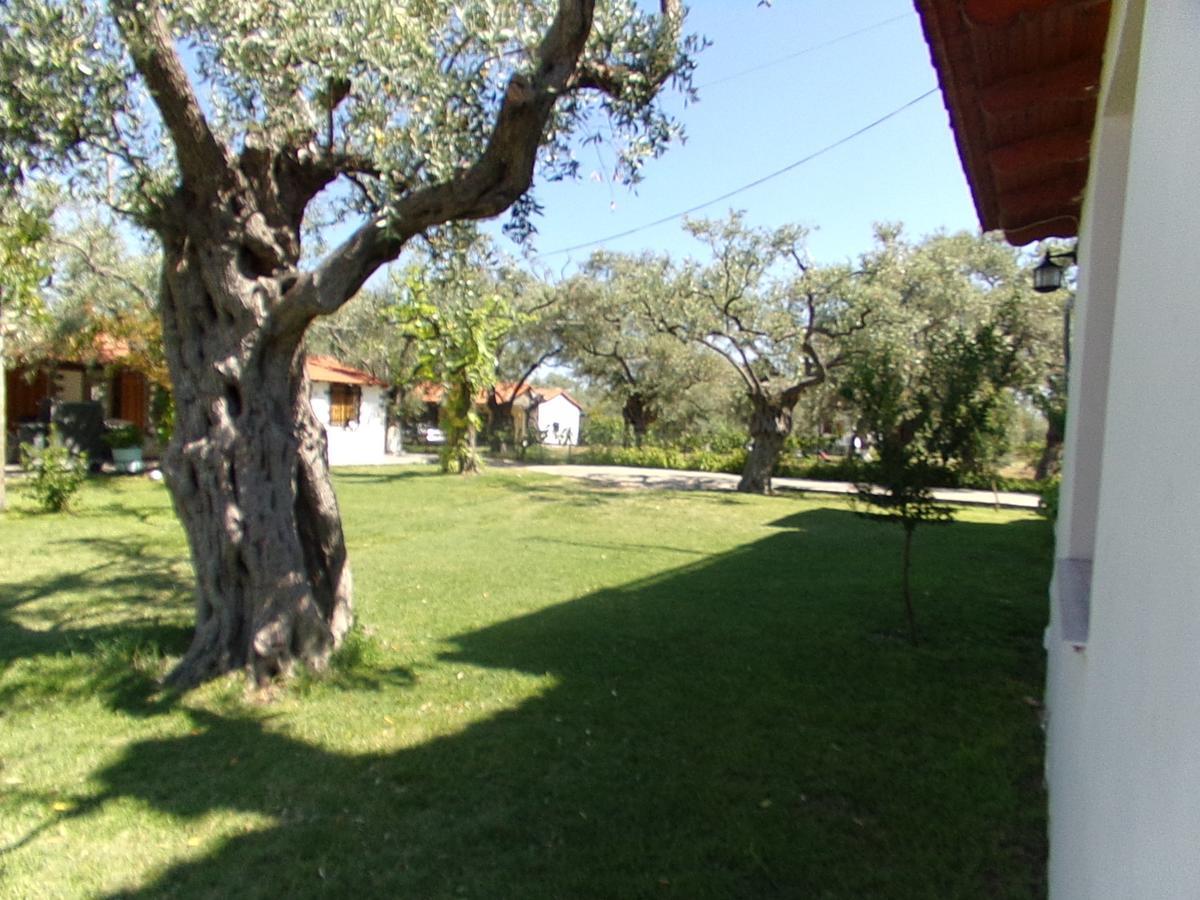 Villa Karapataki Skala Rachoni  ห้อง รูปภาพ